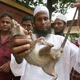 Illustration for article titled Bangladeshi Farmer Slaughters 83,000 Rats, and All He Got Was a Crappy 14-Inch TV